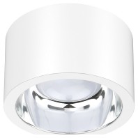 Downlight/spot/floodlight ALG54130125