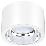 Downlight/spot/floodlight ALG54250125