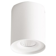 Downlight/spot/floodlight ALS20100102