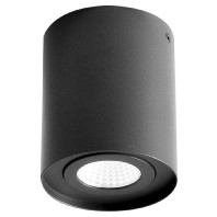 Downlight/spot/floodlight ALS20100902