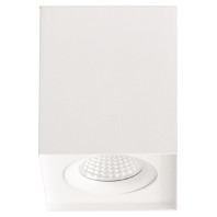 Downlight/spot/floodlight ALS24100102