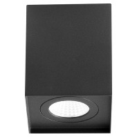 Downlight/spot/floodlight ALS24100902