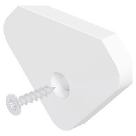 End cap for luminaires APESWEAP