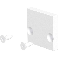 End cap for luminaires APFWEAP