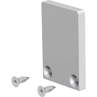 End cap for luminaires APXSEAP