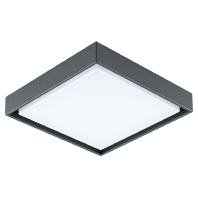 LED-Anbauleuchte 3000K IP54 anth DAQ54141502