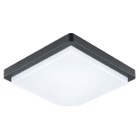 LED-Anbauleuchte 3000K IP54 anth DAQH54141502