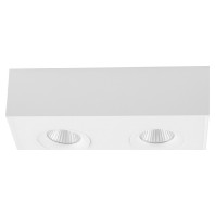 Downlight/spot/floodlight DE20160102