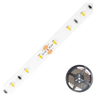Light ribbon-/hose/-strip ICSB2024302827