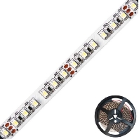 Light ribbon-/hose/-strip white LSTRSB20241203501-25