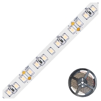 Light ribbon-/hose/-strip SB20241402802