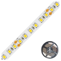 LED-Strip 24V 5m 4000K STR20241202840