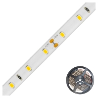 LED-Strip 24V 5m 2700K STR5424302827