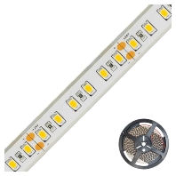 LED-Strip 24V 5m 3000K STR67241202802