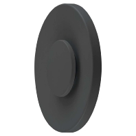 LED-Wandanbauleuchte 3000K IP65 anth WAR65101502