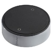 Remote control for switching device 1Y.13.B12
