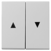 Wippe 2-f. Pfeilsymbol grau 0294015