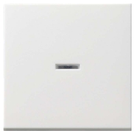 Cover plate for switch/push button white 091403