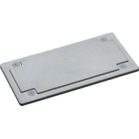 Blind plate for enclosure FZ404