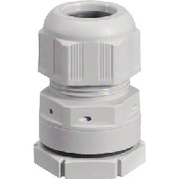 Verschraubung M25 IP66 VZ025D