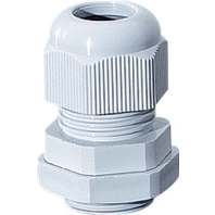 Cable gland / core connector PG21 AKS 21