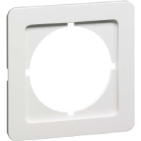 Zentralplatte ws D 80.670 ZR W