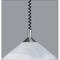 Pendelleuchte ni-mt E27 1x77W 617611