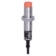 Inductive proximity switch IGA3008-BPKG IG5606