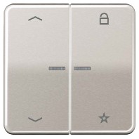 Intelligent control element platinum FM CD 1701 P PT