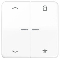 Intelligent control element white FM CD 1701 P WW