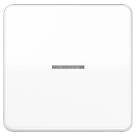 Intelligent control element white FM CD 1700 WW