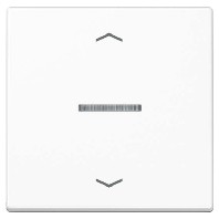 Intelligent control element white FM A 1700 P WW
