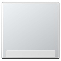 Cover plate for switch/push button A 590 BF NA AL