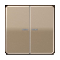 Taster 2fach JUNG HOME BT CD 17102 GB