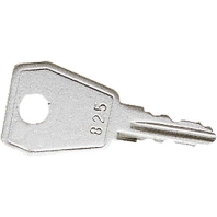 Double bit key for enclosure 805 SL