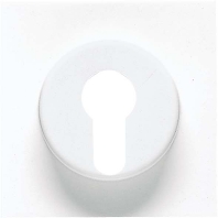 Cover plate for switch grey LS 928 LG