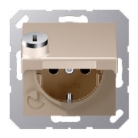 SCHUKO-Steckdose 16A250V Klappdeckel A 1520 BFKLSL CH