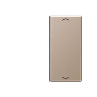 Taste 2-fach champ. mit Symbolen A 402 TSAP CH