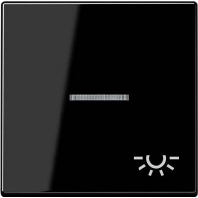 Wippe Symbol Licht bel. schwarz A 590 BF KO5 L SW