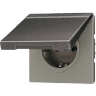 SCHUKO-Steckdose 16A250V Klappdeckel AL 1520 NAKL AN
