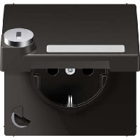 Socket outlet (receptacle) AL 1520 NAKLSL AN