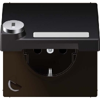 Socket outlet (receptacle) AL 1520 NAKLSL D