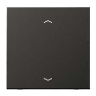 Steuertaste Standard Symbole Pfeile AL 1700 P AN