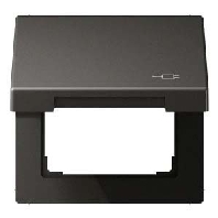 Frame 1-gang anthracite AL 2990 KL SOC AN