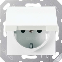 SCHUKO-Steckdose 16A250V Klappdeckel AS 1520 BFKIKL GN