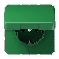 SCHUKO-Steckdose 16A250V Klappdeckel CD 1520 BFKIKL GN