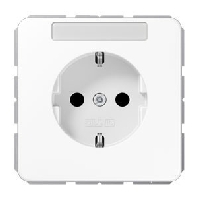 SCHUKO-Steckdose 16A250V mit Schriftfeld CD 1520 BFNA WW