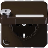 Socket outlet (receptacle) CD 1520 NAKLSL BR