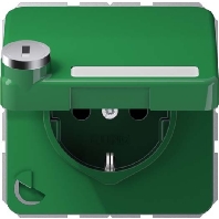 Socket outlet (receptacle) CD 1520 NAKLSL GN