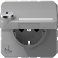 Socket outlet (receptacle) CD 1520 NAKLSL GR